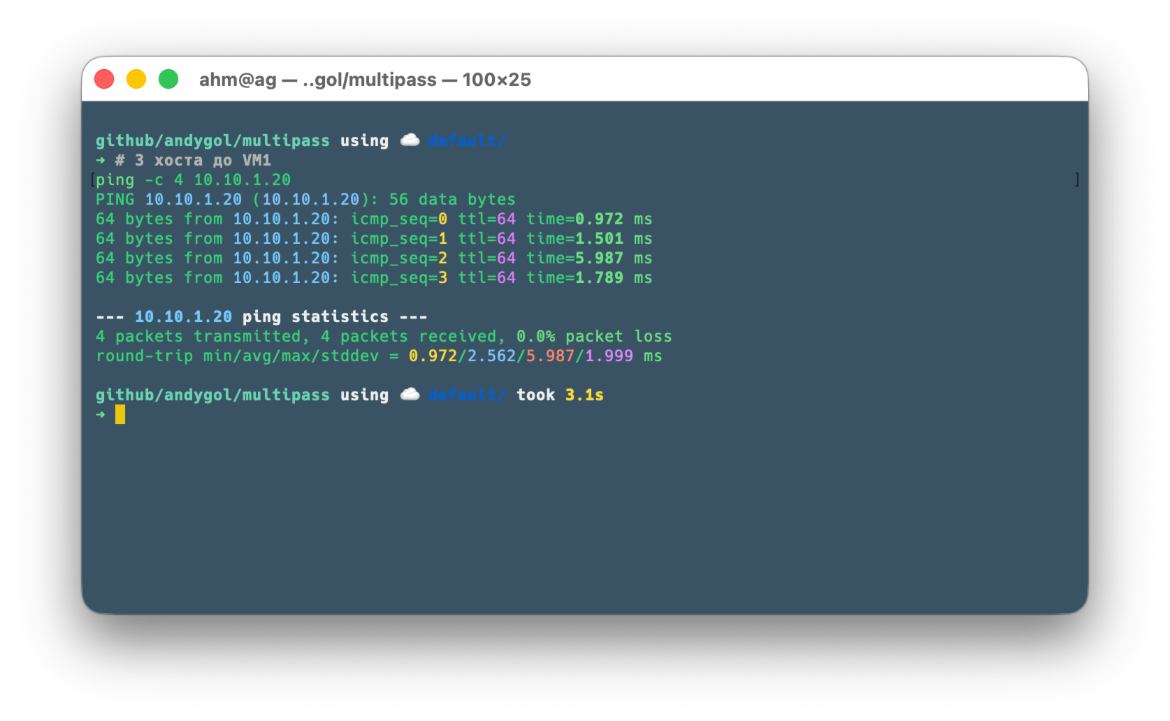 ping from host to VM1